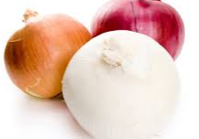 Cebolla
