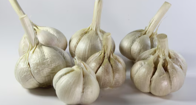 Ajo